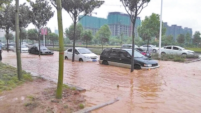 昨日，信陽突降暴雨，路面積水已淹沒輪胎。首席記者 何正權(quán) 通訊員 楊小燕 攝影
