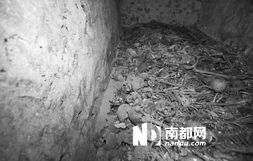 　5月29日，在以色列特拉維夫市雅法地區(qū)，一處集體墳?zāi)贡话l(fā)現(xiàn)。