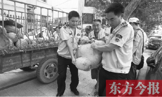 昨日，鄭州金水區(qū)執(zhí)法局的執(zhí)法隊員捐錢買瓜，替瓜農解憂