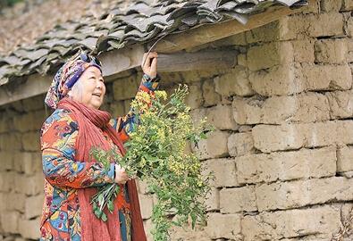 公式“時尚奶奶”的賞花照，收獲了好多人的點贊。 受訪者供圖