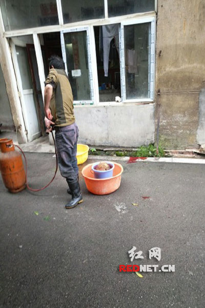 5月8日，男子在校園里殺狗，地上殘留一塊血跡。目擊者供圖。