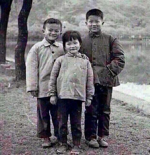 小馬云火遍網絡