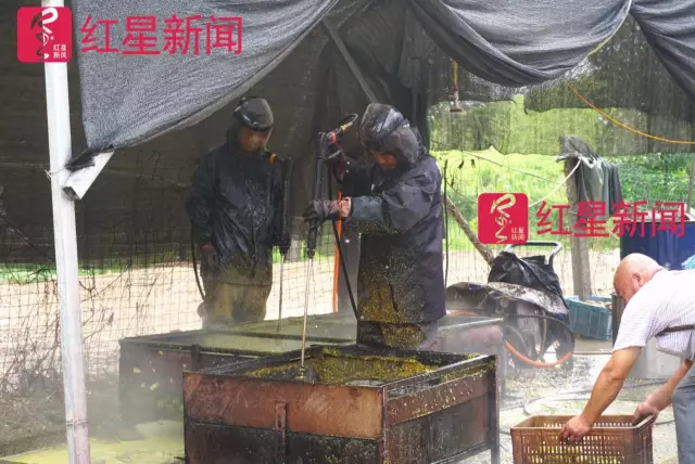 文玩核桃遇冷由幾萬一對降到5元沒人要？商戶否認(rèn)