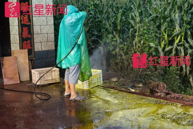 文玩核桃遇冷由幾萬一對降到5元沒人要？商戶否認(rèn)