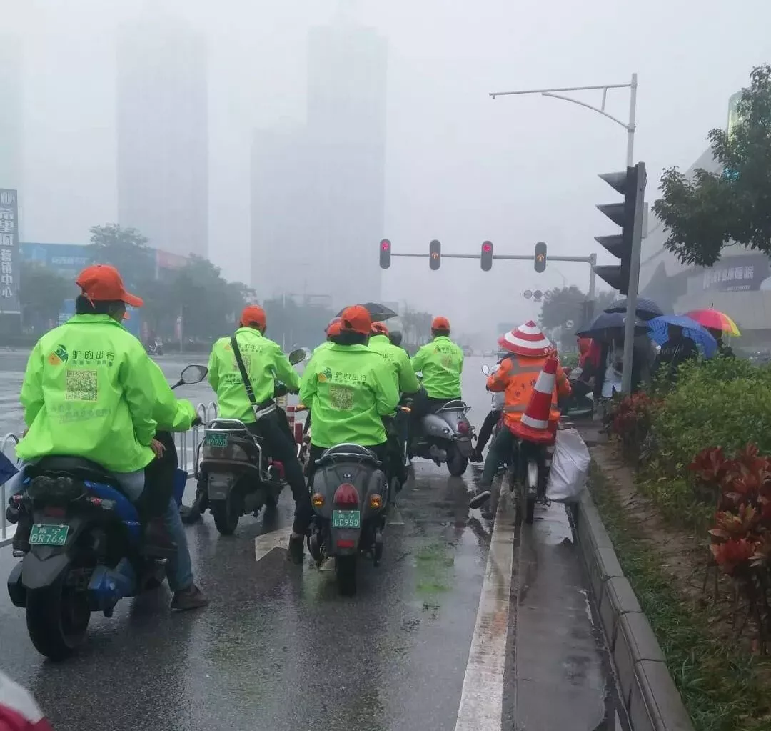 出門打驢？ 南寧“滴滴打驢”被緊急叫停