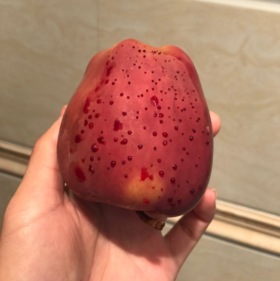 嚇懵！女子用熱水泡蘋果結(jié)果冒出血珠 咋回事？