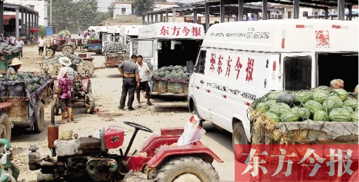 昨日，東方今報(bào)與河南福壽園聯(lián)合購瓜，只有更多的市民和企業(yè)加入購瓜行動，瓜農(nóng)們才能早日回家