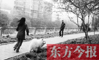 12月3日，鄭州市南關(guān)街熊兒河旁，一名遛狗的女子見到執(zhí)法人員檢查，迅速跑開