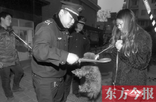 12月3日早上6點半，鄭州市南關(guān)街熊兒河旁，南關(guān)街辦事處的執(zhí)法人員對狗進行排查