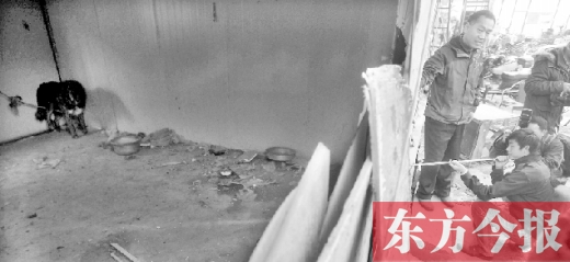 12月4日，鄭州市未來路與隴海路交叉口西側(cè)，執(zhí)法人員用吹管麻醉針對(duì)付一只藏獒