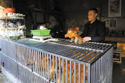 南京另一家農(nóng)貿(mào)市場(chǎng)內(nèi)待售的活雞。因南京出現(xiàn)H7N9禽流病例，買活雞的顧客減少。