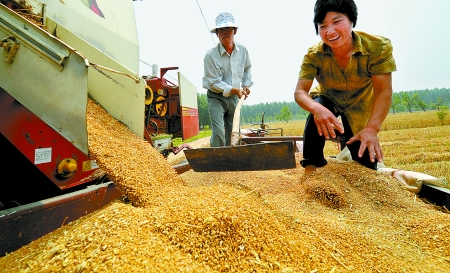 6月3日， 濮陽開發(fā)區(qū)胡村鄉(xiāng)后范莊村的續(xù)秀萍看著新打的粒大飽滿的小麥喜上眉梢。