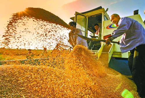 根據(jù)國家統(tǒng)計(jì)局核定結(jié)果，我省2012年糧食總產(chǎn)量達(dá)到1127.72億斤，成為第9個(gè)連續(xù)增產(chǎn)年份。