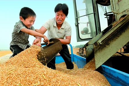 5月27日，確山縣劉店鎮(zhèn)前槽村郭景蓮和小孫子一起收獲小麥，豐收的喜悅寫在了臉上。