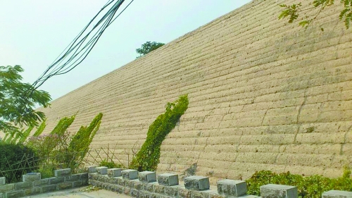 開(kāi)封城墻修復(fù)過(guò)程中護(hù)坡植被清除