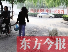 啟明一巷內，一名女子帶著狗狗去買菜。狗隨地大小便，狗的主人未制止