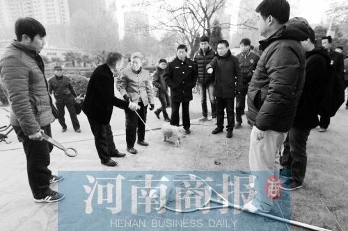 一只辦過狗證的小白狗，因為沒有拴犬鏈，被執(zhí)法人員暫扣