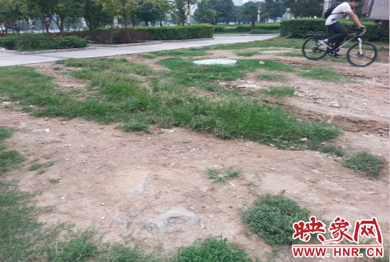 公園內(nèi)大片草坪遭到破壞。