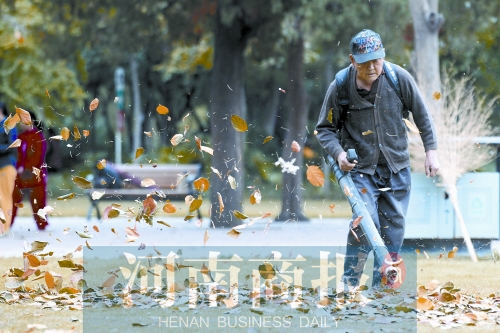 秋風吹過，落葉滿地