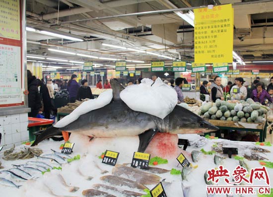 鄭州市一家超市海鮮區(qū)的冰架上赫然擺著一整條鯊魚在出售，鯊魚肉價格為23.80元每斤，遠低于牛羊肉的價