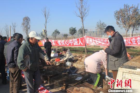 圖為百余名愛狗人士把老李的貨車攔截，數(shù)十人正在從貨車上卸下裝滿狗的鐵籠?！●R義恒　攝