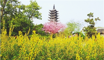 綠博園盛開的鮮花“期待”和市民“約會(huì)”。