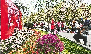 市民紛紛將鏡頭對(duì)準(zhǔn)花叢。