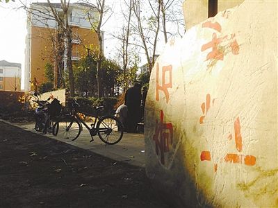 昨日，“上海奇石盆景博物館”原址上，已矗立起小區(qū)樓盤，而刻著博物館名的巨石，廢棄在一旁。本版圖片/新京報記者 張永生 攝