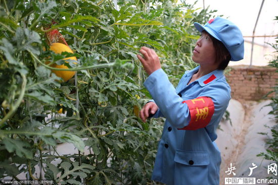 河南一農(nóng)場(chǎng)近百名員工著紅軍裝上班