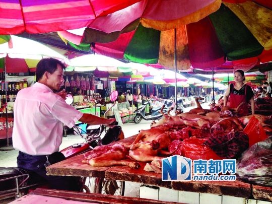  昨日，玉林垌口市場(chǎng)，一位市民在購(gòu)買(mǎi)狗肉。