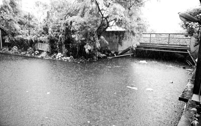 白云區(qū)棠樂路通往石槎路的一個鐵路橋底涵洞常被暴雨積水淹沒?！缎畔r報》供圖