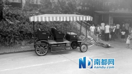 園方則稱解剖后發(fā)現(xiàn)馬死于心臟衰竭，“與累無關(guān)”。