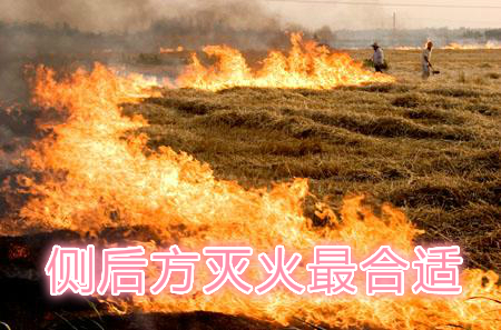 不要在風(fēng)頭上打火：風(fēng)正大，火正旺，最容易傷人；