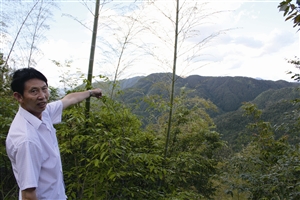 村民吳學(xué)田告訴記者，對(duì)面兩座山就是潘建友承包的部分山場(chǎng) 見(jiàn)習(xí)記者 邱一文 攝