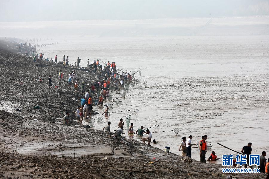7月6日,在山西省平陸縣黃河岸邊,人們?cè)诤舆叢稉泣S河“流魚(yú)”。