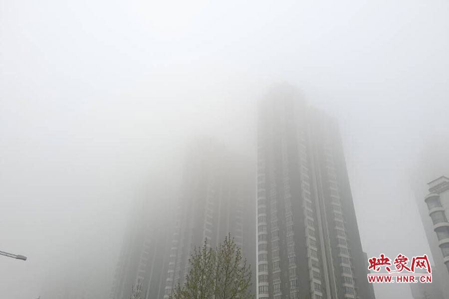 鄭州現(xiàn)大霧天氣，宛若仙境