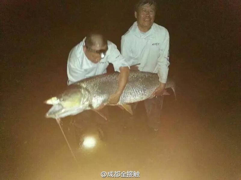 圖為大魚需要兩個人抱起。