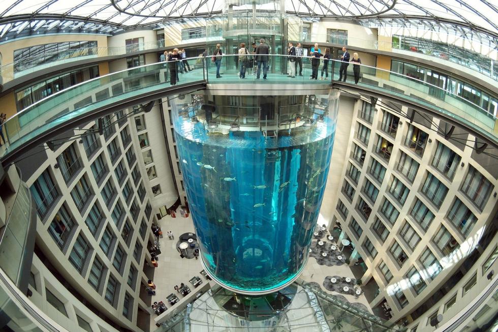 在圓柱水族館主體下方，還有一些別的展館。