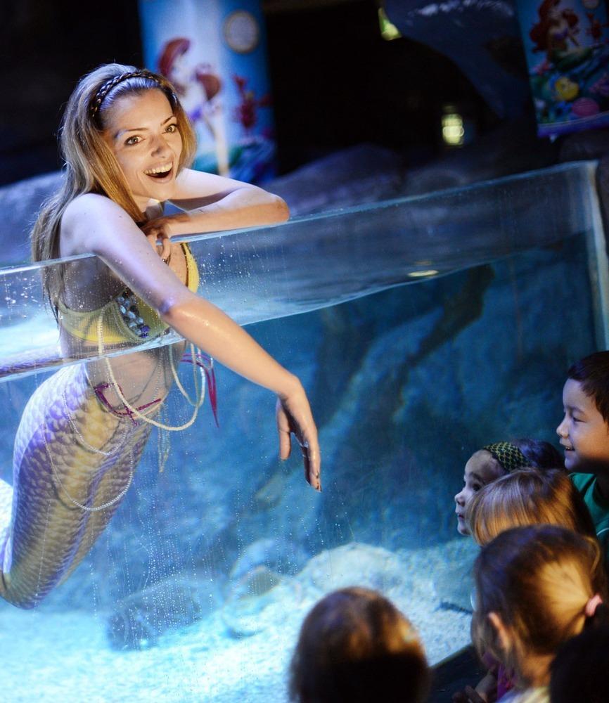 德國女演員安妮·門登在水族館里客串了一把“美人魚”，順便為她的電影《小美人魚》做宣傳。
