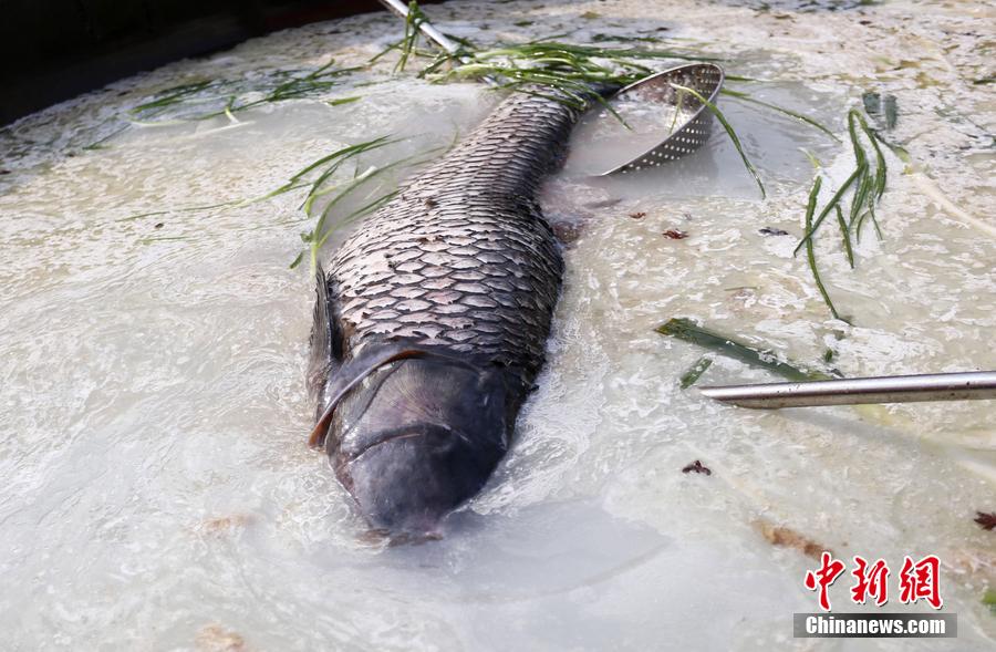 “魚王”在3米大鍋內(nèi)烹飪。 圖片來(lái)源：CFP視覺中國(guó)