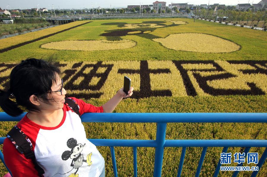 10月25日，游客在觀景臺(tái)上觀賞“米老鼠”稻田畫。