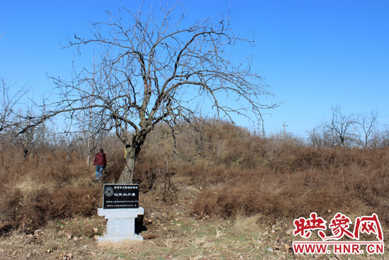 在叔齊墓的前面，豎著新鄭市人民政府今年剛立的石碑，上面寫著“新鄭市文物保護單位”。