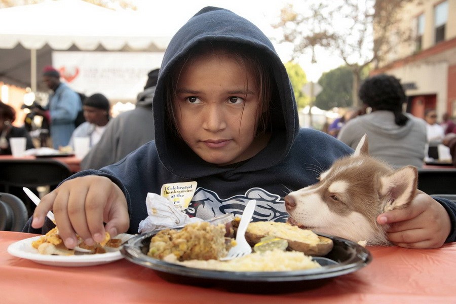 11月21日，加州洛杉磯的游民巷，12歲的堂娜·赫南德茲抱著愛犬“湯米”，安靜地吃著免費的感恩節(jié)飯菜