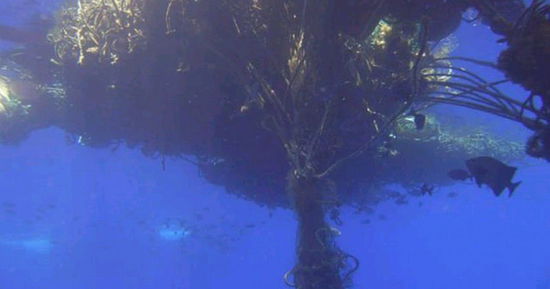 美國(guó)無(wú)人機(jī)發(fā)現(xiàn)海嘯垃圾形成永久性 塑料島嶼 (組圖)