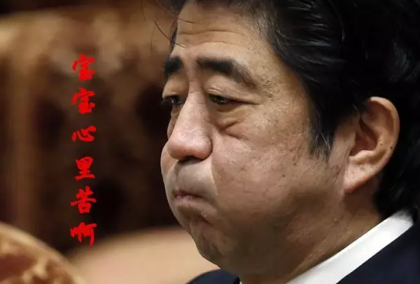 這種看安倍“熱鬧”的事兒，環(huán)環(huán)絕不私藏，一定雨露均沾!