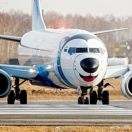  俄羅斯Nordstar航空公司飛機換上哈士奇涂裝