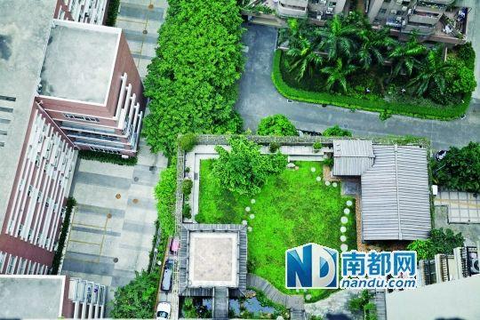 中旅商務大廈的“空中花園”。