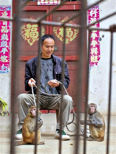10月13日，耍猴人鮑慶山牽著從牡丹江帶回的兩只小猴在家門口玩耍。
