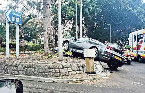 法拉利跑車(chē)避狗失控車(chē)頭向天似凌空飛起（圖）