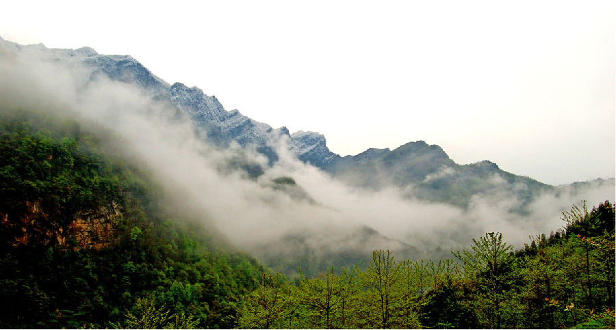 21℃的清涼欒川對(duì)全國(guó)大學(xué)生免門票 21℃的清涼欒川對(duì)全國(guó)大學(xué)生免門票